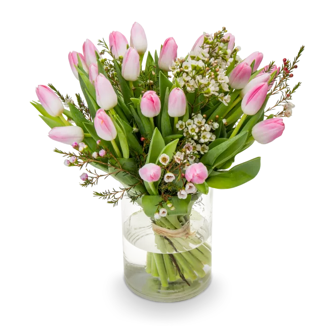 Bouquet of tulips